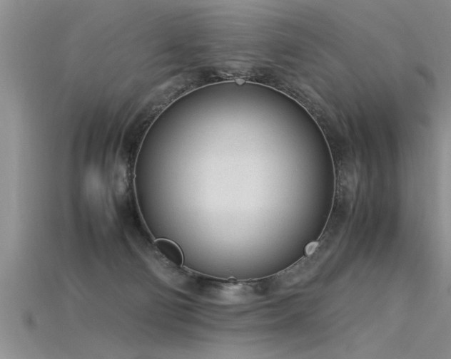 X0000115760130200911131203