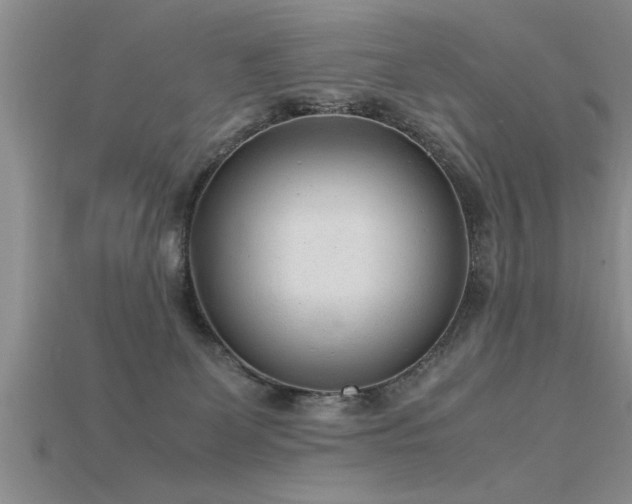 X0000115760131200911131203