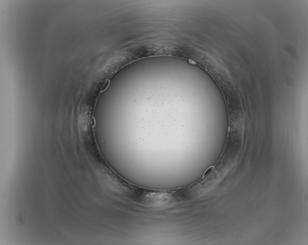 X0000115760133200911131203