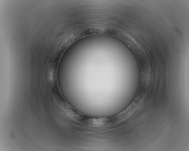 X0000115760134200911131203