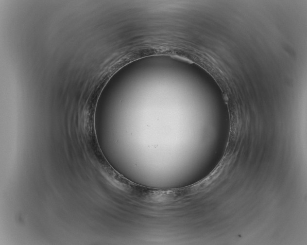 X0000115760136200911131203