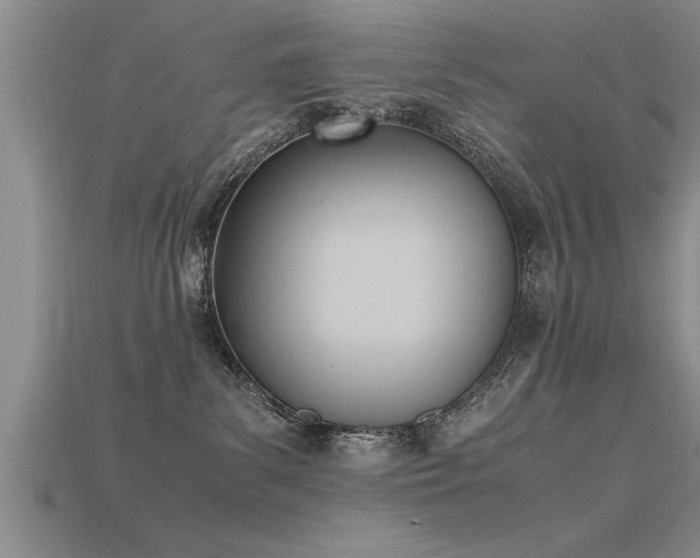 X0000115760139200911131203