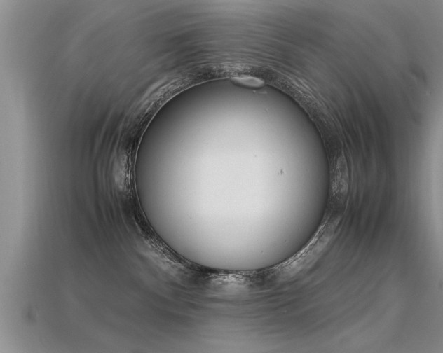 X0000115760140200911131203