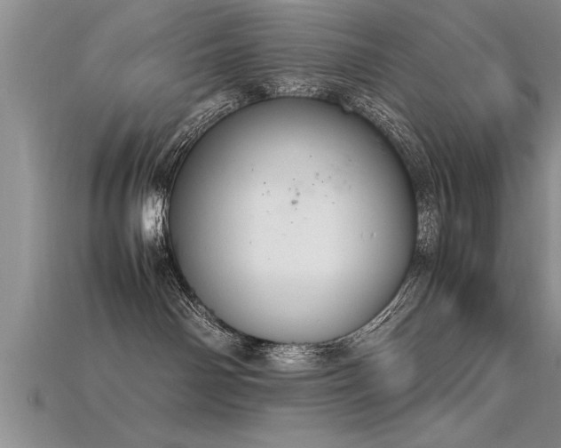 X0000115760142200911131203