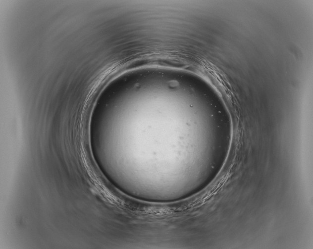 X0000115760145200911131203