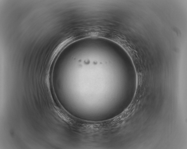 X0000115760147200911131203