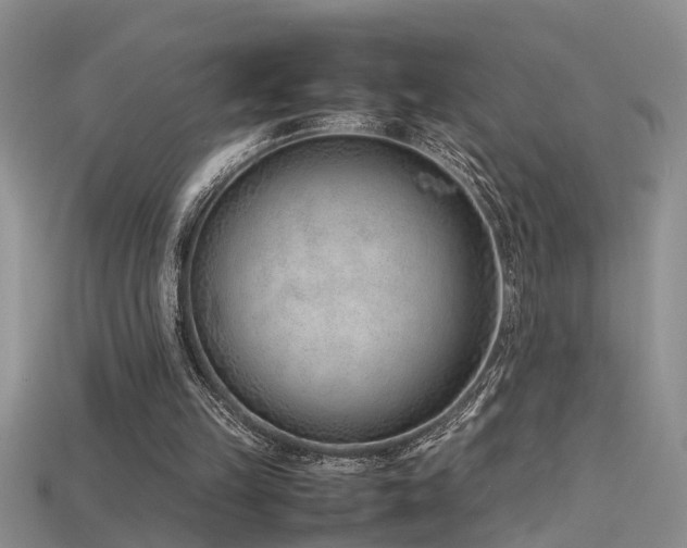 X0000115760149200911131203