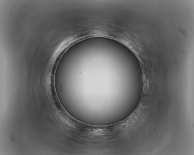 X0000115760151200911131203