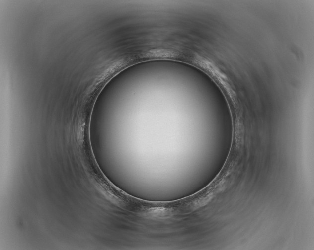 X0000115760153200911131203