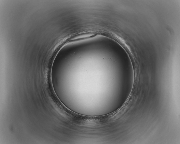X0000115760154200911131203