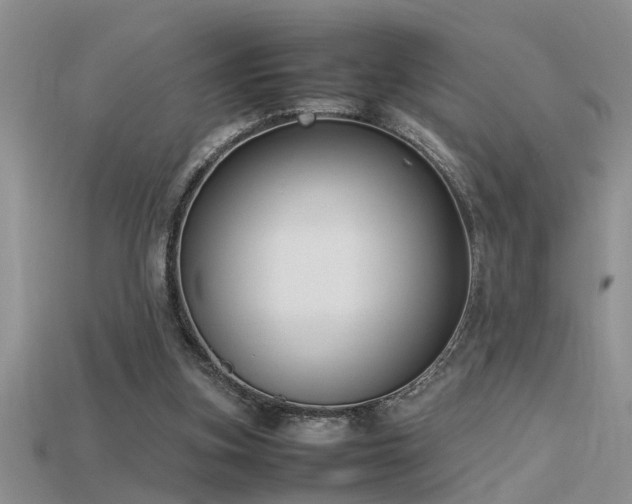 X0000115760155200911131203
