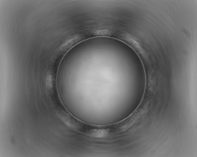 X0000115760161200911131203