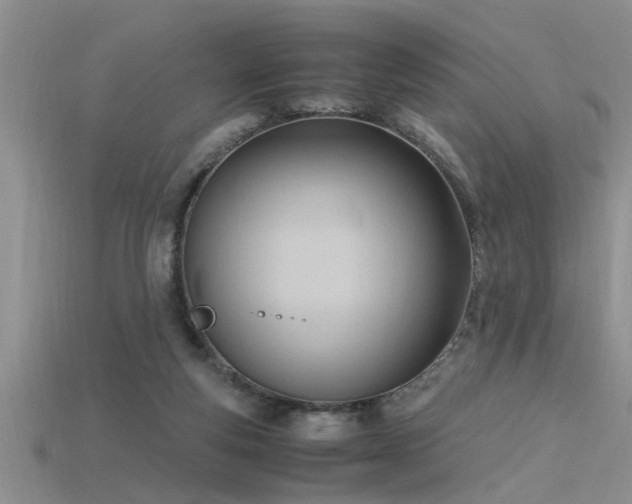 X0000115760163200911131203