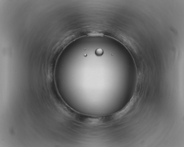 X0000115760170200911131203