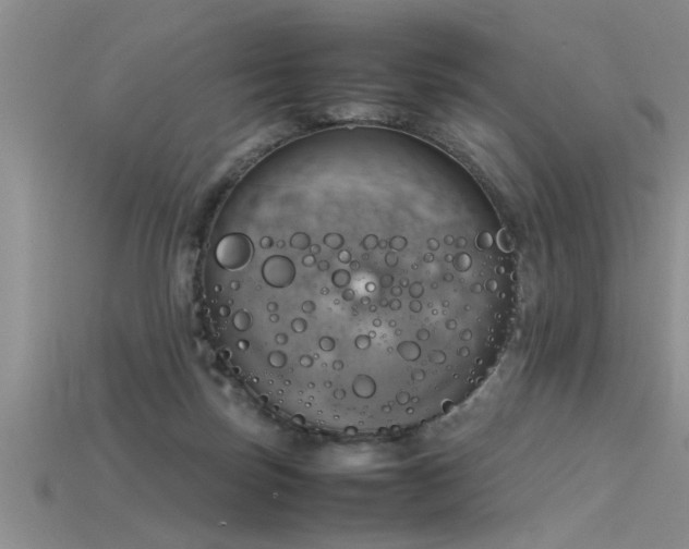 X0000115760171200911131203