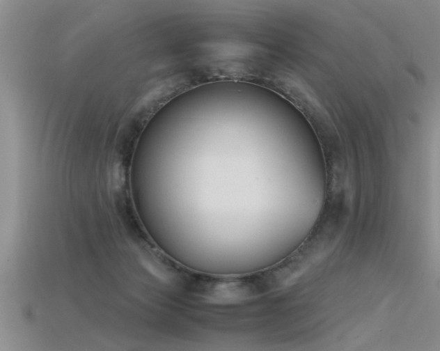 X0000115760173200911131203