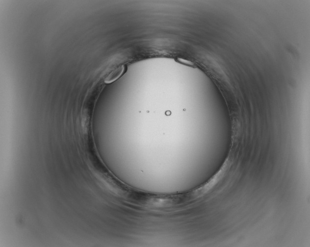 X0000115760174200911131203