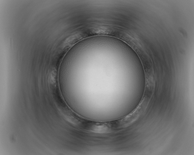 X0000115760175200911131203