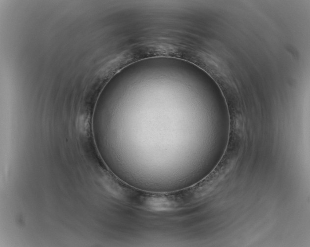 X0000115760177200911131203