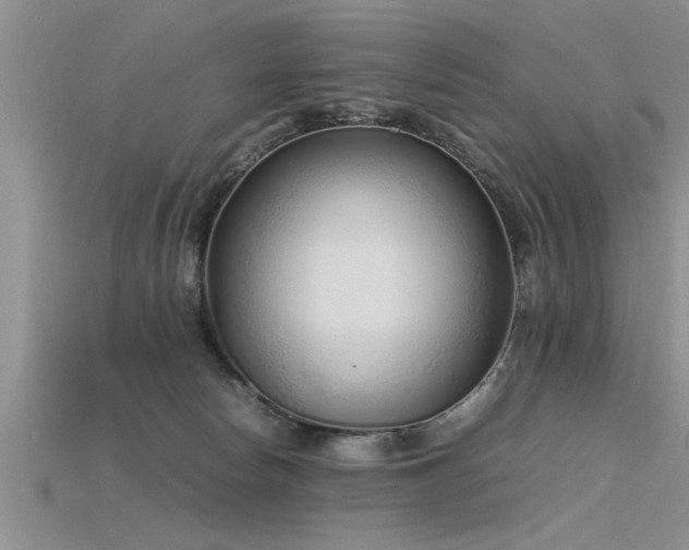 X0000115760178200911131203