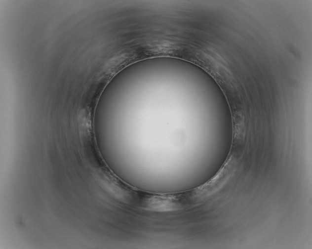X0000115760179200911131203
