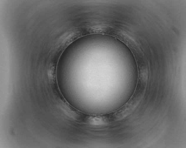 X0000115760181200911131203