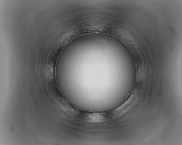 X0000115760183200911131203