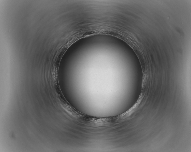 X0000115760186200911131203
