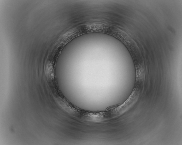 X0000115760187200911131203