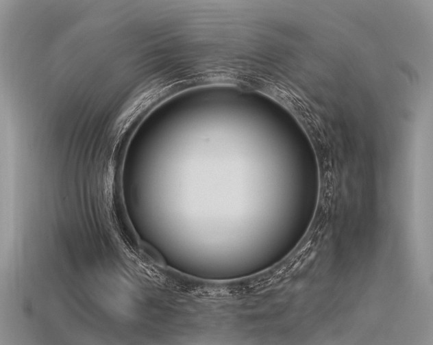 X0000115760194200911131203