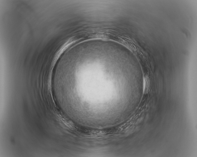 X0000115760195200911131203