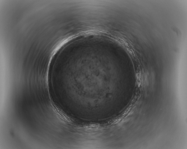 X0000115760196200911131203