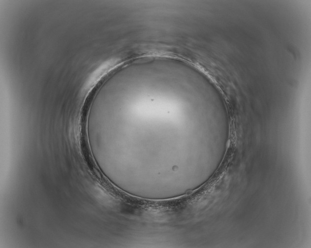 X0000115760199200911131202