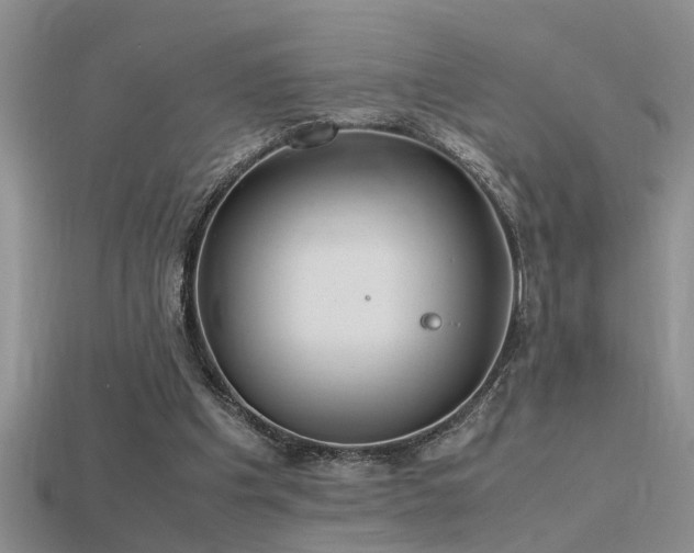 X0000115760201200911131202