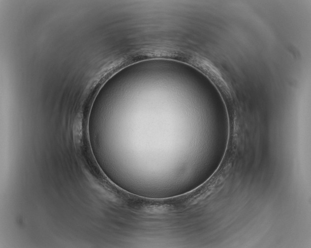 X0000115760202200911131202