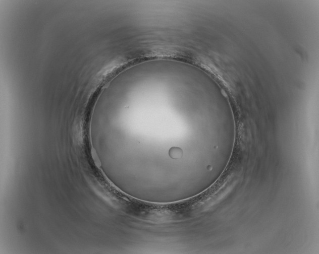 X0000115760203200911131202