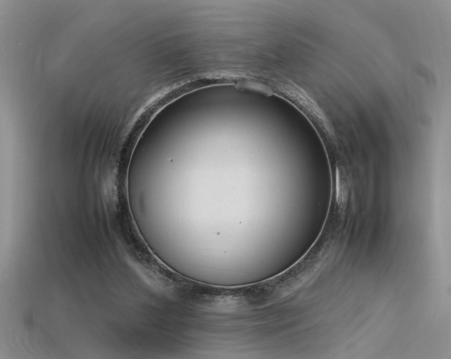 X0000115760204200911131202