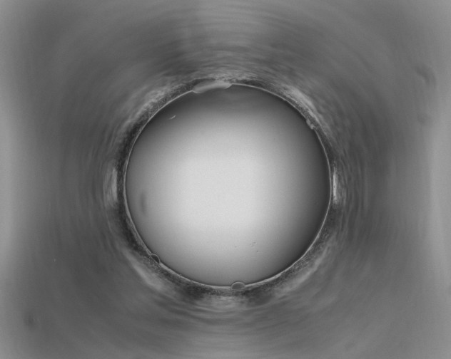 X0000115760205200911131202