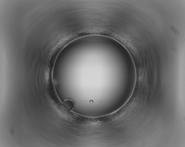 X0000115760206200911131202