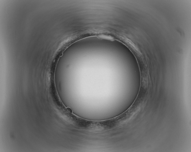 X0000115760207200911131202