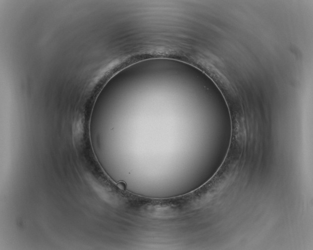 X0000115760208200911131202