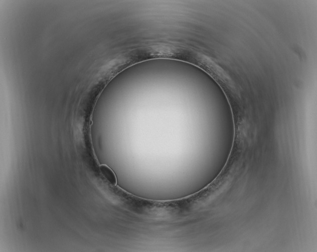 X0000115760209200911131202