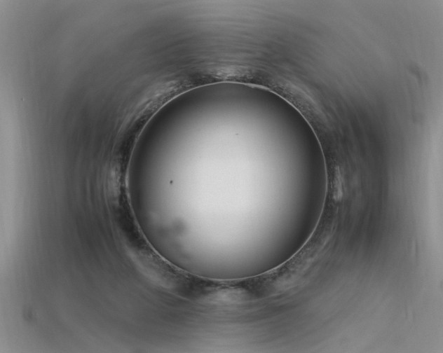 X0000115760210200911131202