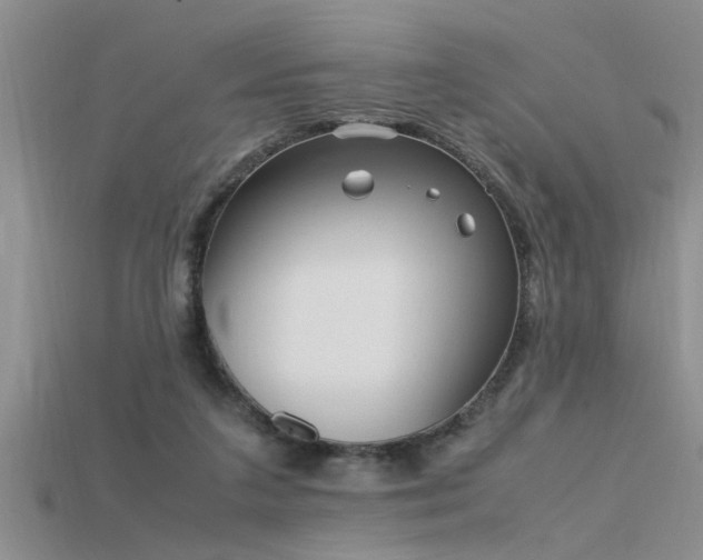 X0000115760211200911131202