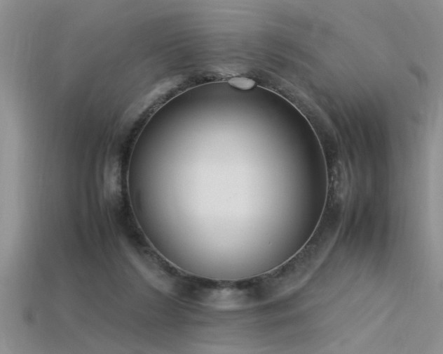 X0000115760212200911131202