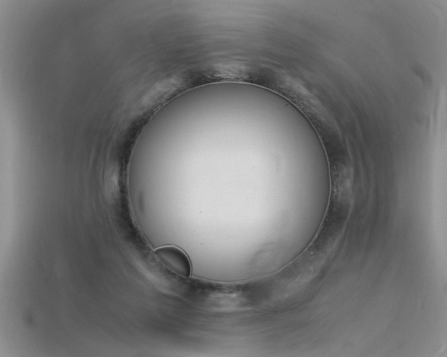 X0000115760213200911131202