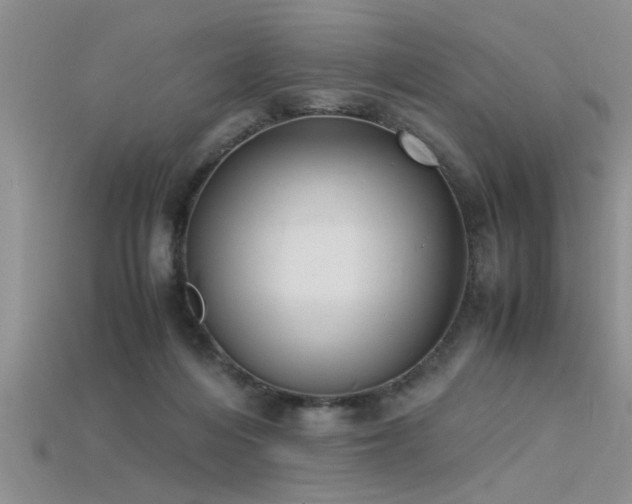 X0000115760216200911131202