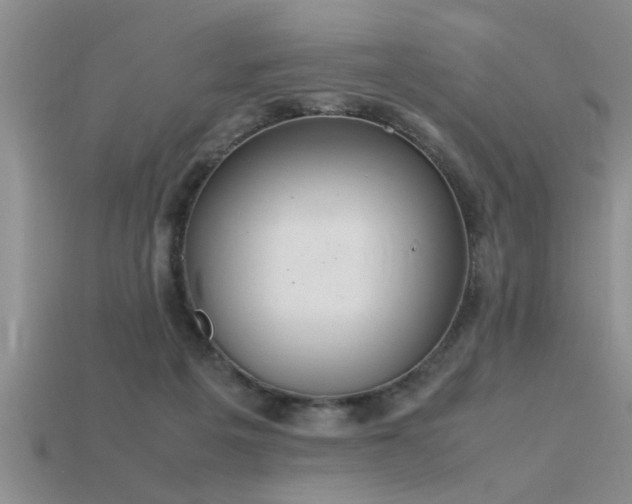 X0000115760217200911131202
