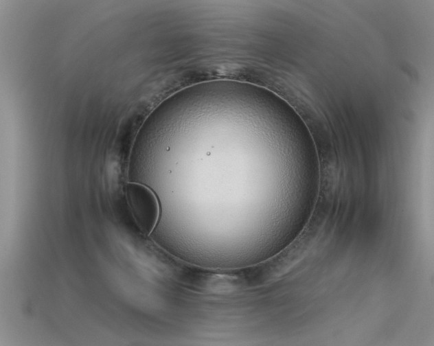 X0000115760222200911131202