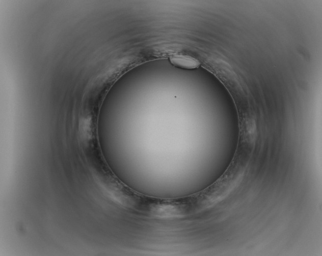 X0000115760224200911131202